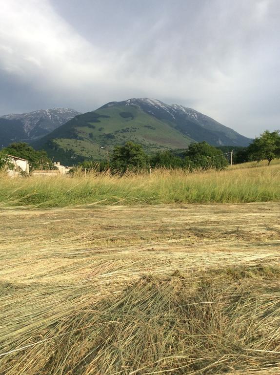 Casa Vacanza Abruzzo カラマーニコ・テルメ エクステリア 写真